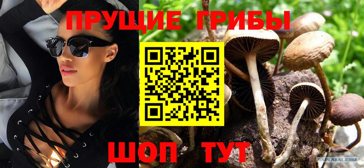 Галлюциногенные грибы ЛСД  Вход с VPN  Усть-Джегута 