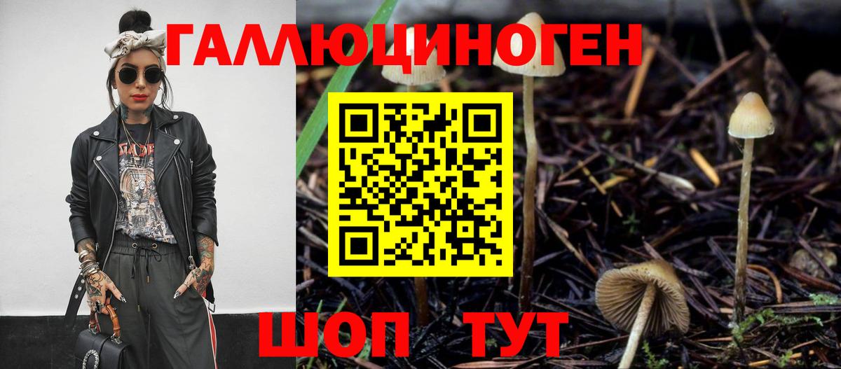 Галлюциногенные грибы мухоморы Усть-Джегута